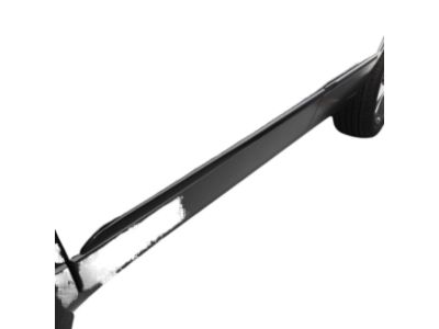 GM 95374123 Front Rocker Molding