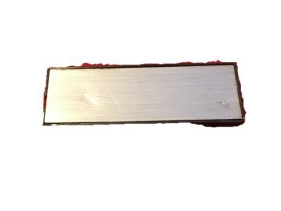 GM 20008916 Pull Strap End Cover