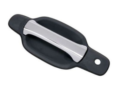 Chevy Colorado Door Handle - 20829878