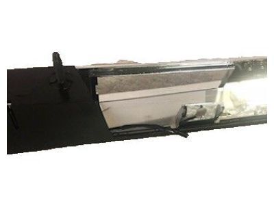 Cadillac 20876269 Molding