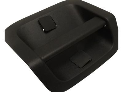 Cadillac CTS Door Handle - 22858924