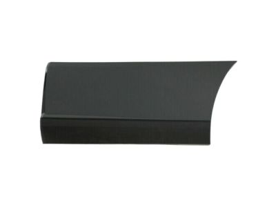 Buick Rendezvous Door Moldings - 88951961