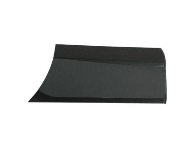 Buick Rendezvous Door Moldings - 88951961