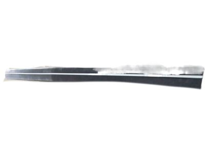 Chevy 14086239 Rub Strip