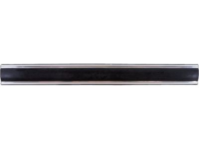 Chevy C10 Door Moldings - 15596935