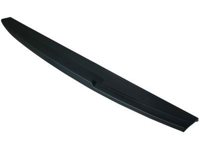 GM 84493626 Upper Molding, Black