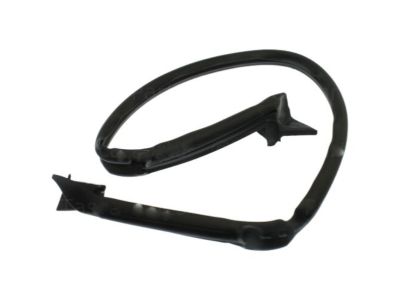 Chevy Weather Strip - 84007386
