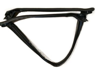 Chevy Weather Strip - 84007386