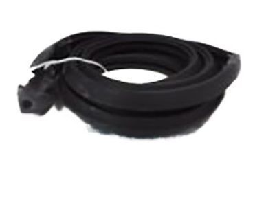 Buick 25773349 Molding