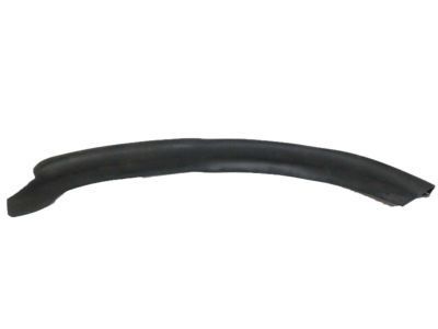 GM 25663384 Seal Strip, Driver Side