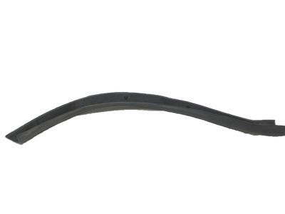 GM 25663384 Seal Strip, Driver Side