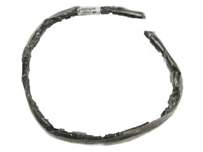2012 Chevy Camaro Weather Strip - 22827637