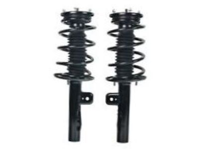 Cadillac STS Shock Absorber - 19300029