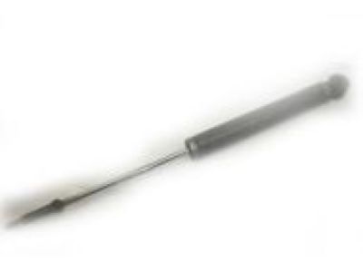 Cadillac STS Shock Absorber - 19300029