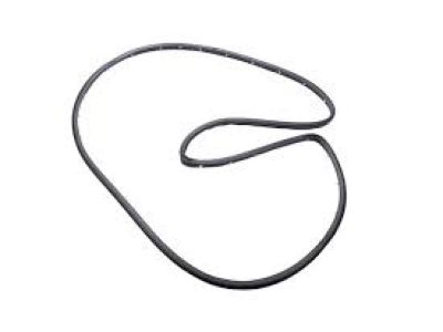 Cadillac Weather Strip - 84228141