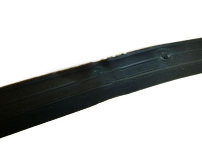 Saturn Vue Door Seal - 95025613