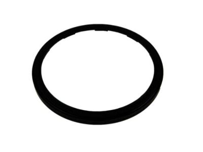 GM 24260376 Piston, Transmission Clutch