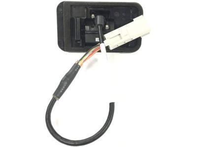 GM 23378804 Rear Camera, Driver Side