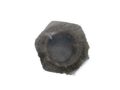 GM 11612283 Extension Nut