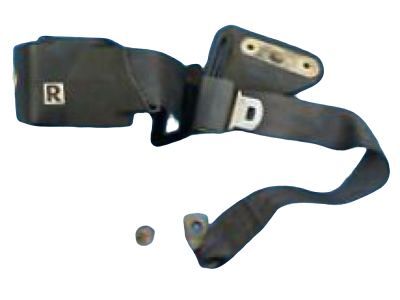 Buick Rainier Seat Belt - 88957503