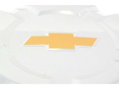 Chevy Trailblazer Wheel Cover - 9596191