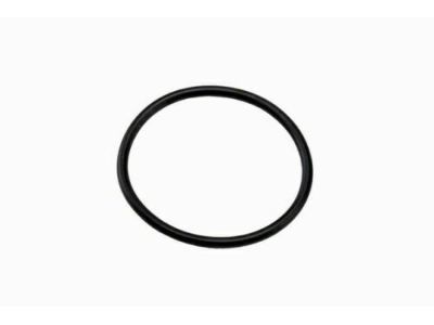 GM 15839527 Seal, Differential Locking, Rear