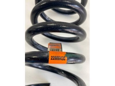 Cadillac SRX Coil Springs - 22808430