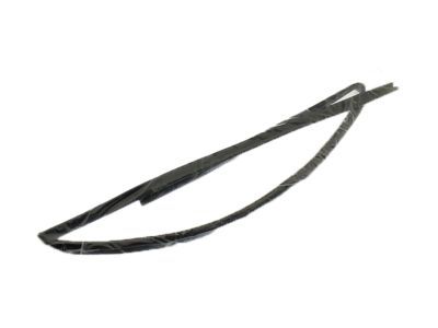 Pontiac Weather Strip - 88974658