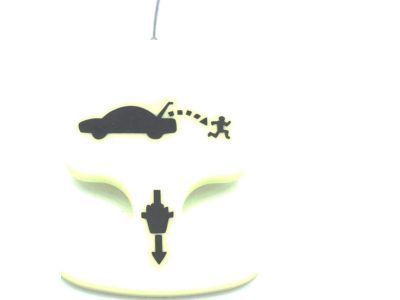 Buick Tailgate Handle - 20814017