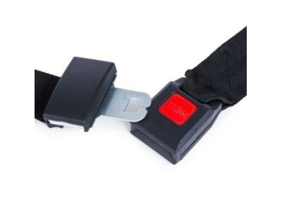 2012 Chevy Express 2500 Seat Belt - 19181644