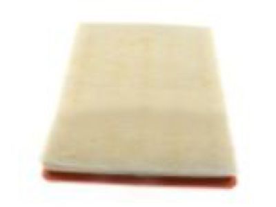 Buick Air Filter - 13319421