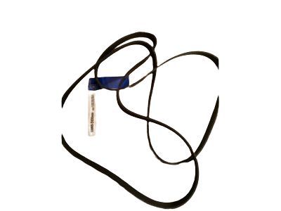 GMC Safari Drive Belt - 12576761
