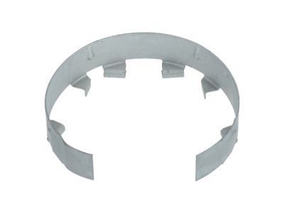 GM 15769308 Retainer Ring
