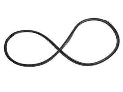 Chevy Door Seal - 22950429