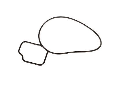Saturn Water Pump Gasket - 24439799