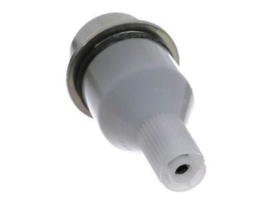 Chevy Tahoe Ball Joint - 19256481