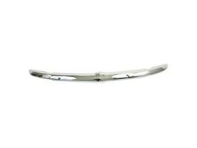 Chevy 14048622 Molding
