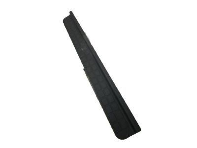 Pontiac Weather Strip - 10247013