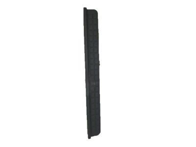 Pontiac Weather Strip - 10247013