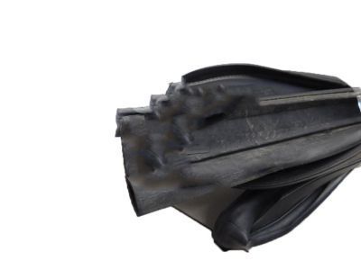 Chevy Door Seal - 20789462