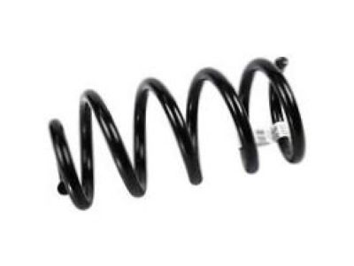 Pontiac Coil Springs - 10276574