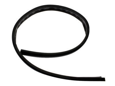 GMC 15012833 Weatherstrip