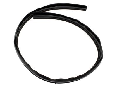 GMC 15012833 Weatherstrip
