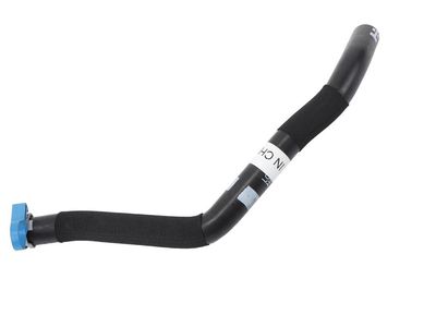 55501613 GM Hose, Emission System Product Photo 2 of 2