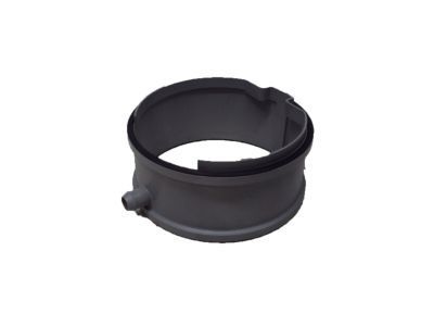 GM 10179214 Extension