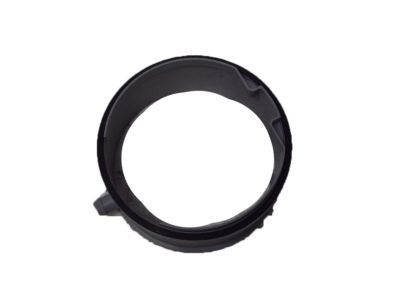 GM 10179214 Extension