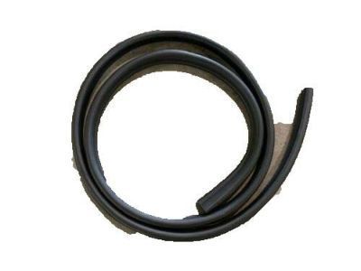 Pontiac Weather Strip - 89039906