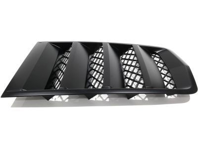 Chevy 22828242 Scoop