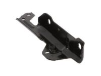 GM 84087720 Hinge, Driver Side