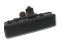 Chevrolet Astro Door Handle - 15719666 Handle, Outside, Passenger Side